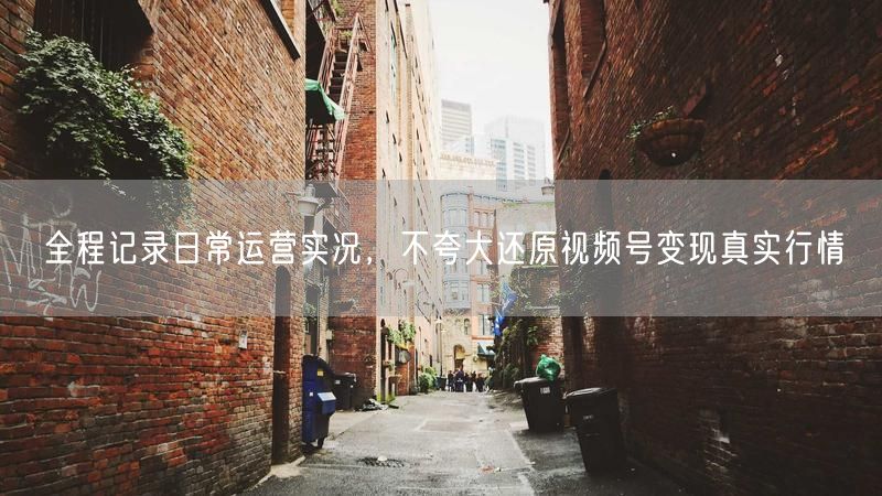 全程记录日常运营实况，不夸大还原视频号变现真实行情