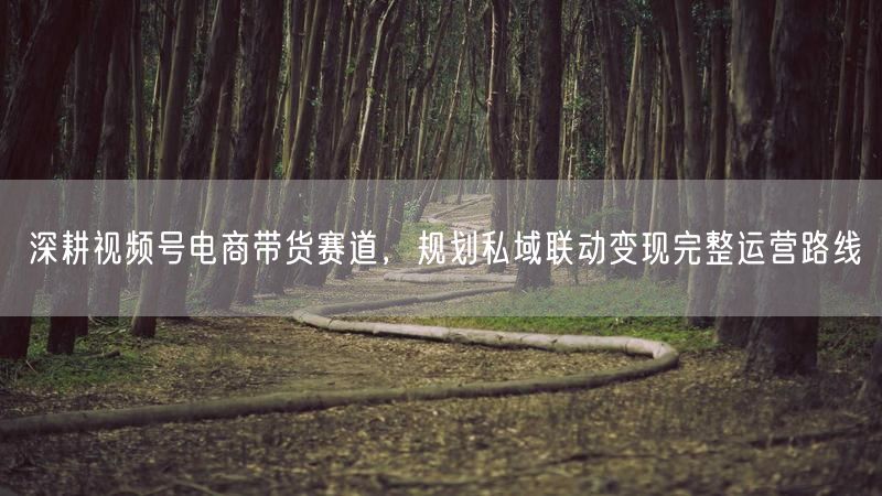 深耕视频号电商带货赛道,规划私域联动变现完整运营路线