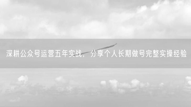 深耕公众号运营五年实战,分享个人长期做号完整实操经验