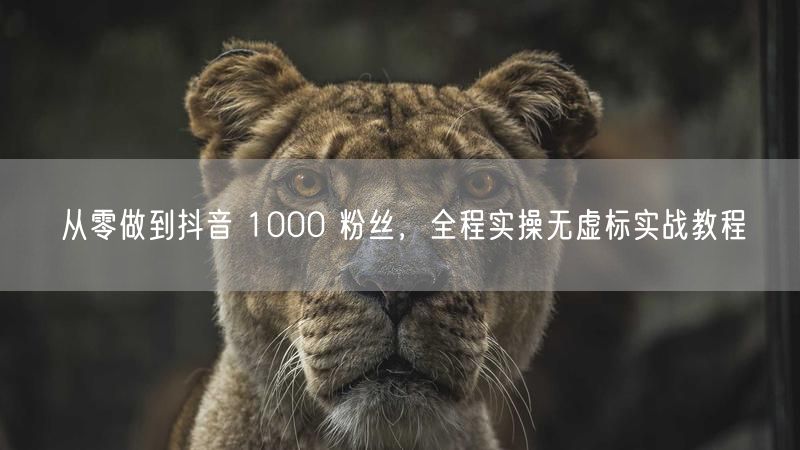 从零做到抖音 1000 粉丝，全程实操无虚标实战教程