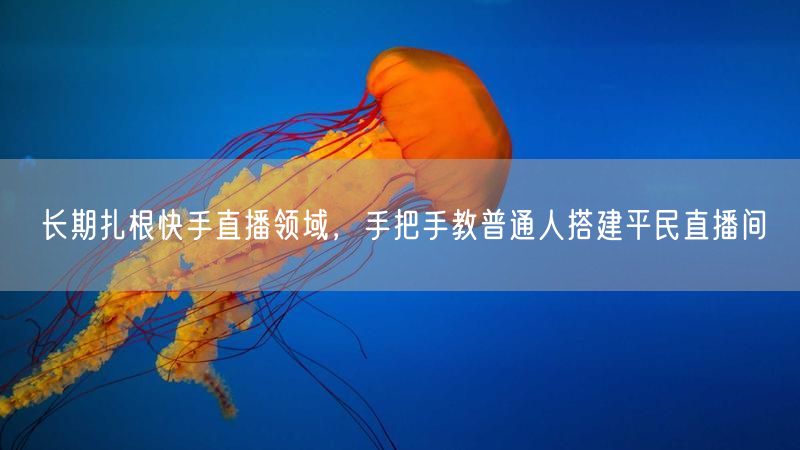 长期扎根快手直播领域,手把手教普通人搭建平民直播间