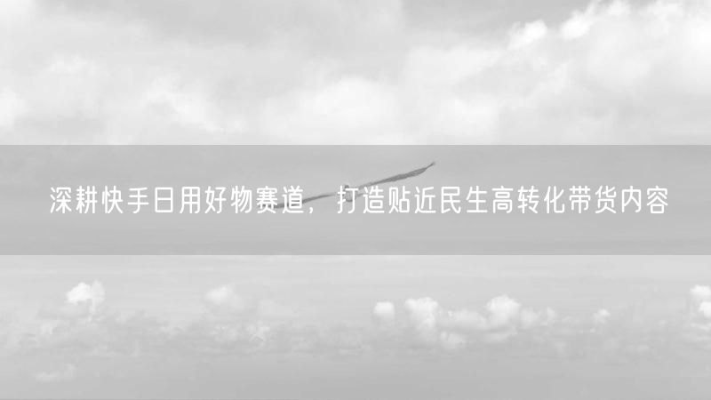 深耕快手日用好物赛道,打造贴近民生高转化带货内容