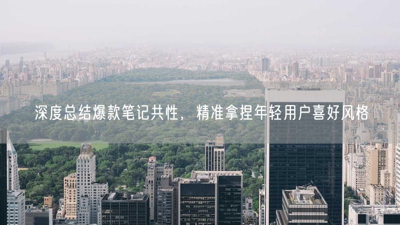 深度总结爆款笔记共性，精准拿捏年轻用户喜好风格
