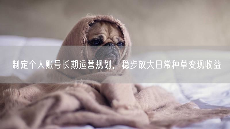 制定个人账号长期运营规划,稳步放大日常种草变现收益