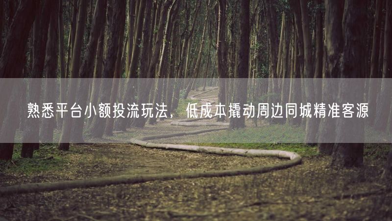 熟悉平台小额投流玩法,低成本撬动周边同城精准客源