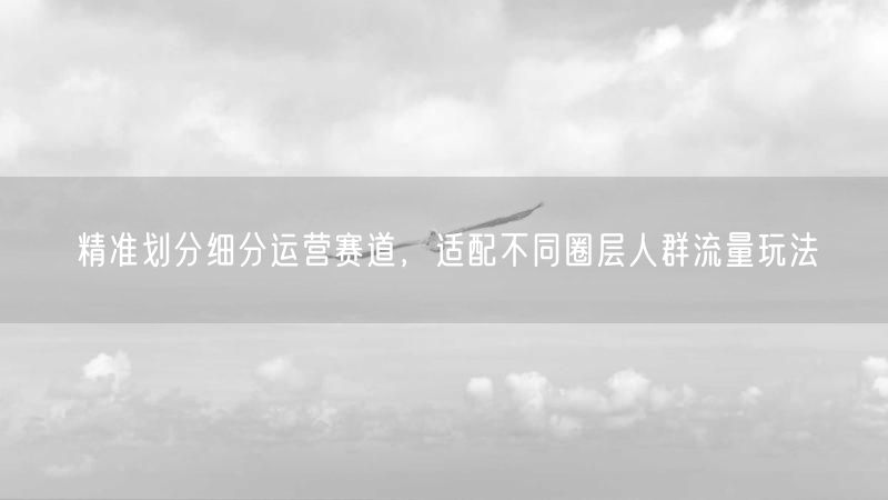精准划分细分运营赛道，适配不同圈层人群流量玩法