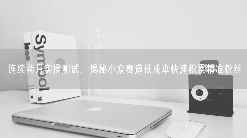 实操2月揭秘：小众赛道低成本引流，精准粉丝积累法