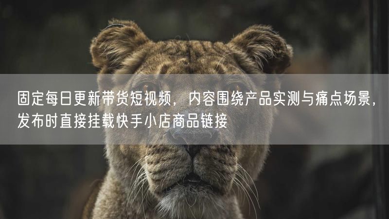固定每日更新带货短视频，内容围绕产品实测与痛点场景，发布时直接挂载快手小店商品链接