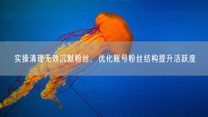 清理无效粉丝实操：优化结构，快速提升账号活跃度