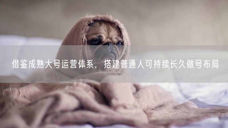 借鉴成熟大号运营体系，搭建普通人可持续长久做号布局