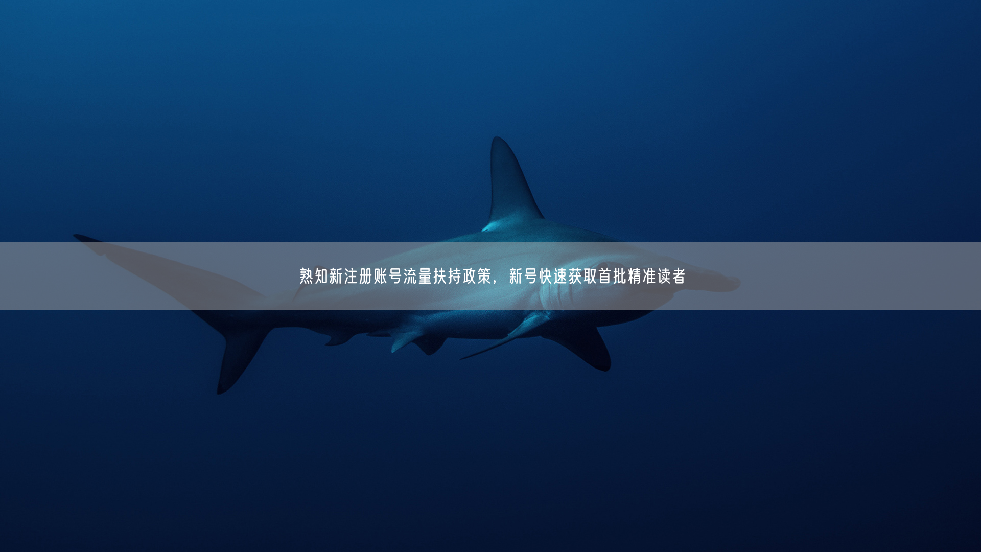 新注册账号必看：流量扶持政策助你冷启动获精准读者