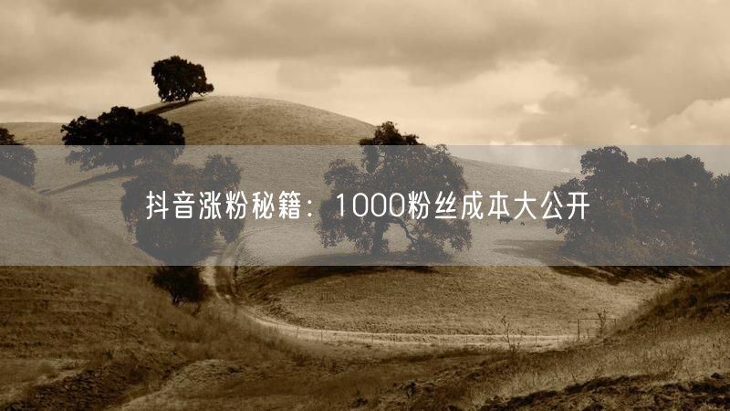 抖音涨粉秘籍：1000粉丝成本大公开