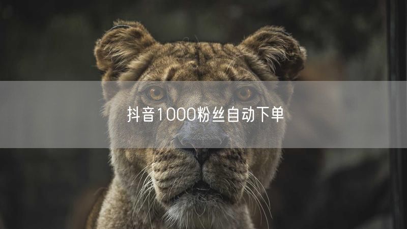 抖音1000粉丝自动下单