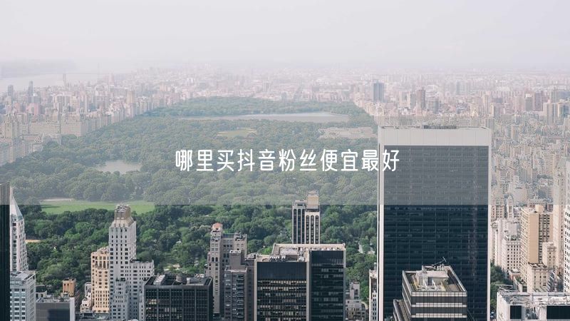 哪里买抖音粉丝便宜最好