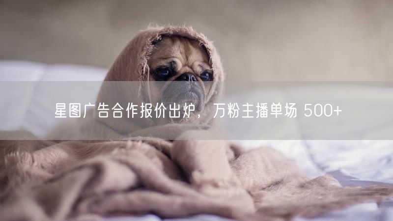 星图广告合作报价出炉,万粉主播单场 500+