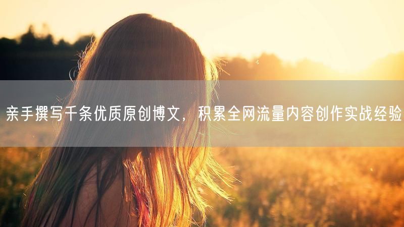 亲手撰写千条优质原创博文，积累全网流量内容创作实战经验