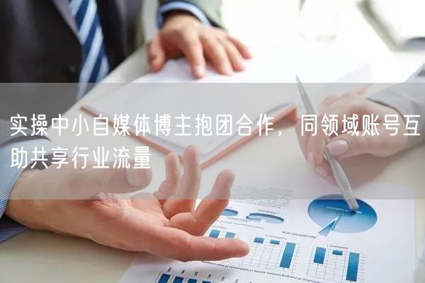 实操中小自媒体博主抱团合作，同领域账号互助共享行业流量