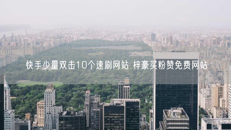 快手少量双击10个速刷网站 梓豪买粉赞免费网站