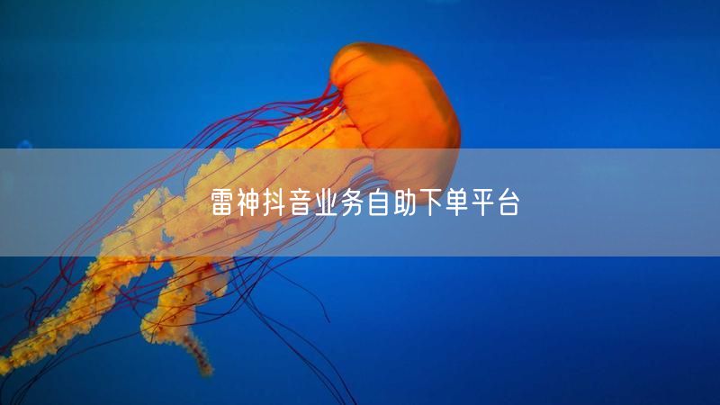 雷神抖音业务自助下单平台