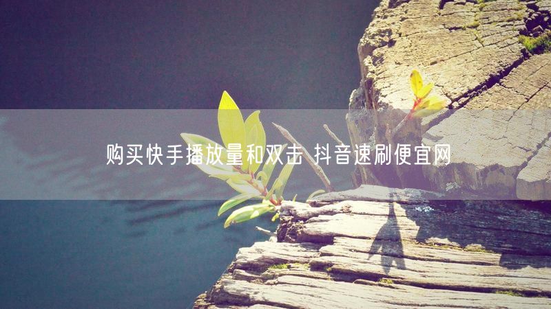 购买快手播放量和双击 抖音速刷便宜网