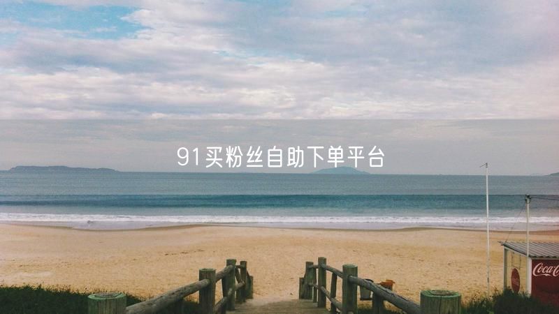 91买粉丝自助下单平台