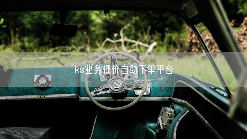 ks业务低价自助下单平台