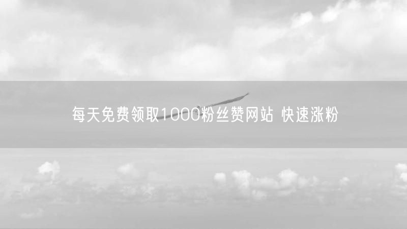 每天免费领取1000粉丝赞网站 快速涨粉