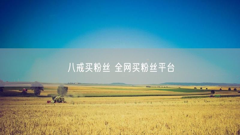 八戒买粉丝 全网买粉丝平台