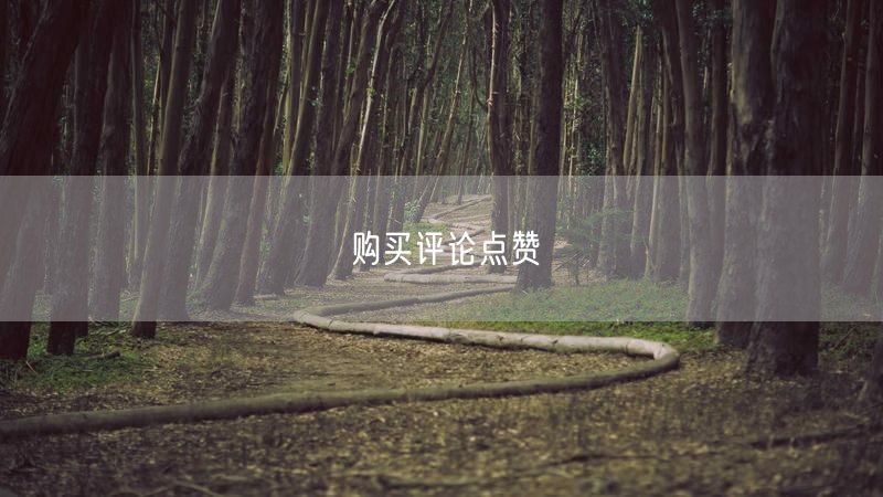 购买评论点赞