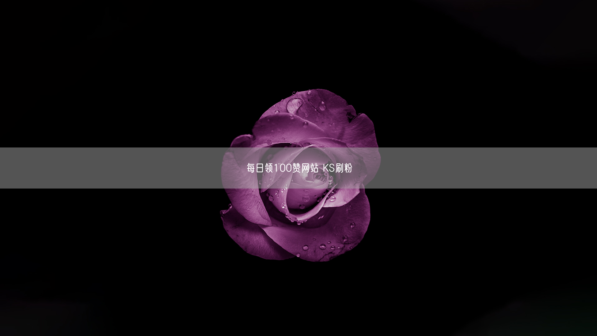 每日领100赞网站 KS刷粉