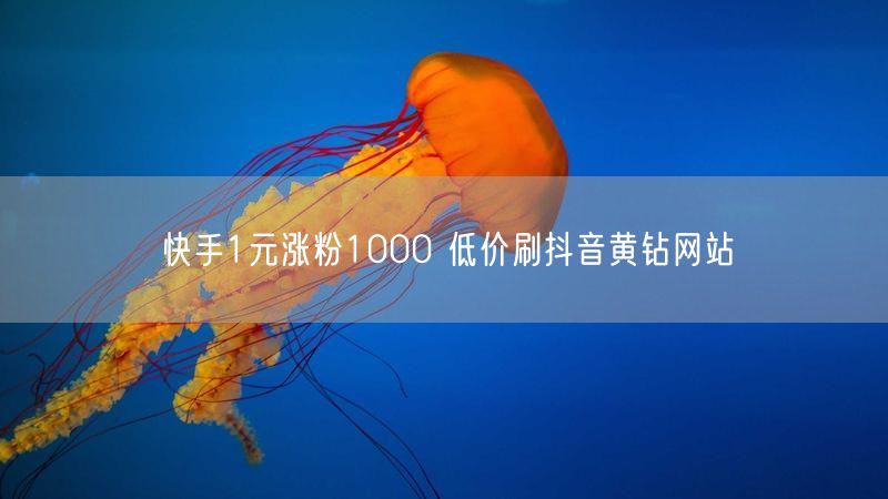 快手1元涨粉1000 低价刷抖音黄钻网站