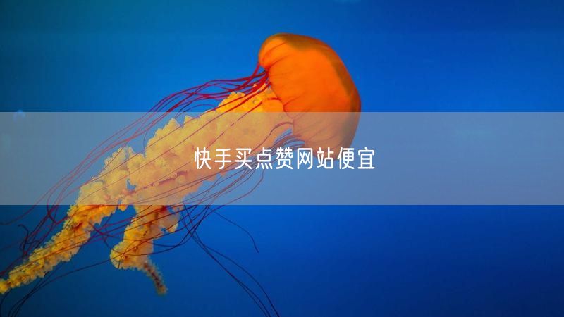 快手买点赞网站便宜