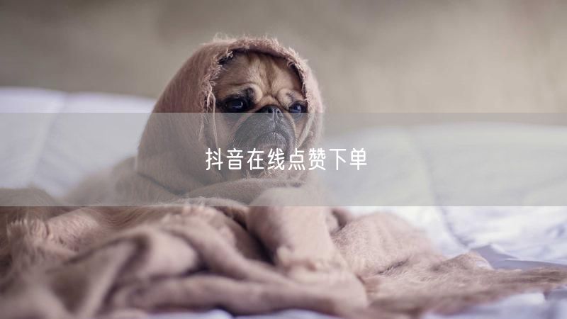 抖音在线点赞下单
