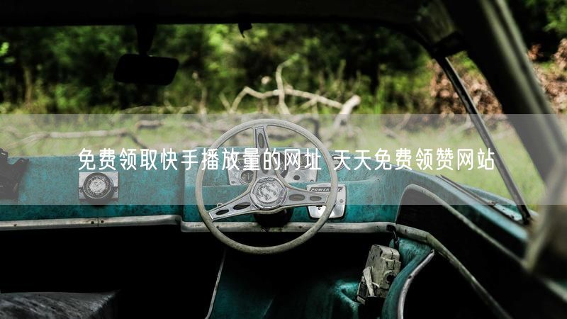 免费领取快手播放量的网址 天天免费领赞网站