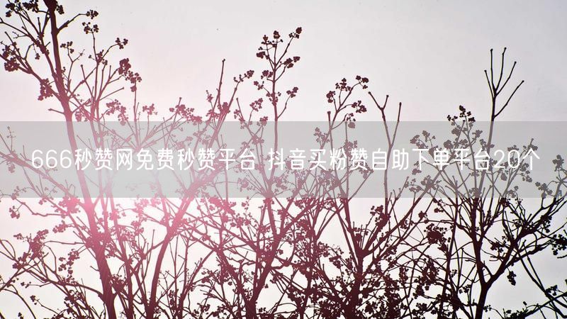 666秒赞网免费秒赞平台 抖音买粉赞自助下单平台20个