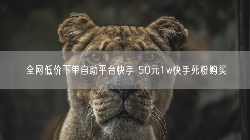 全网低价下单自助平台快手 50元1w快手死粉购买