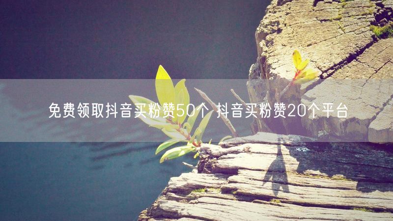 免费领取抖音买粉赞50个 抖音买粉赞20个平台