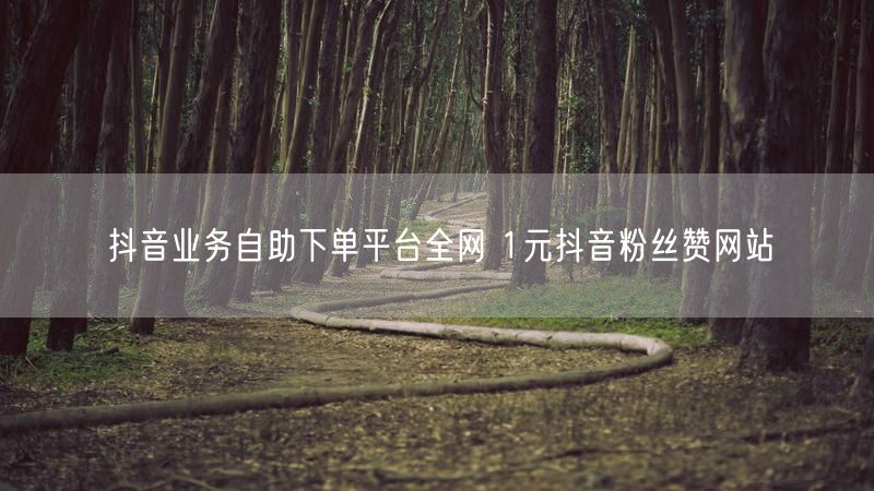 抖音业务自助下单平台全网 1元抖音粉丝赞网站