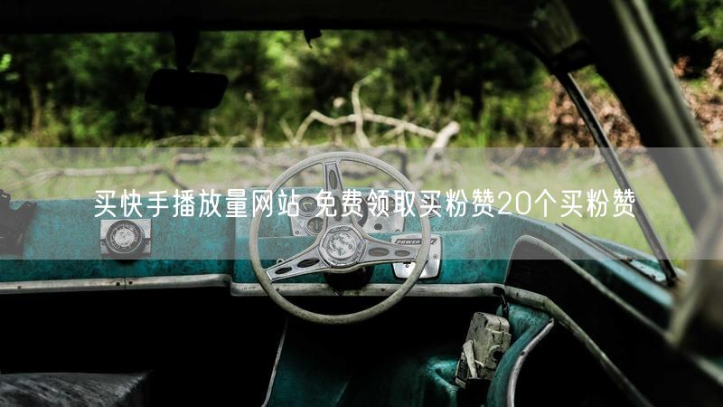 买快手播放量网站 免费领取买粉赞20个买粉赞