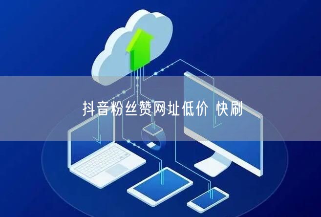 抖音粉丝赞网址低价 快刷