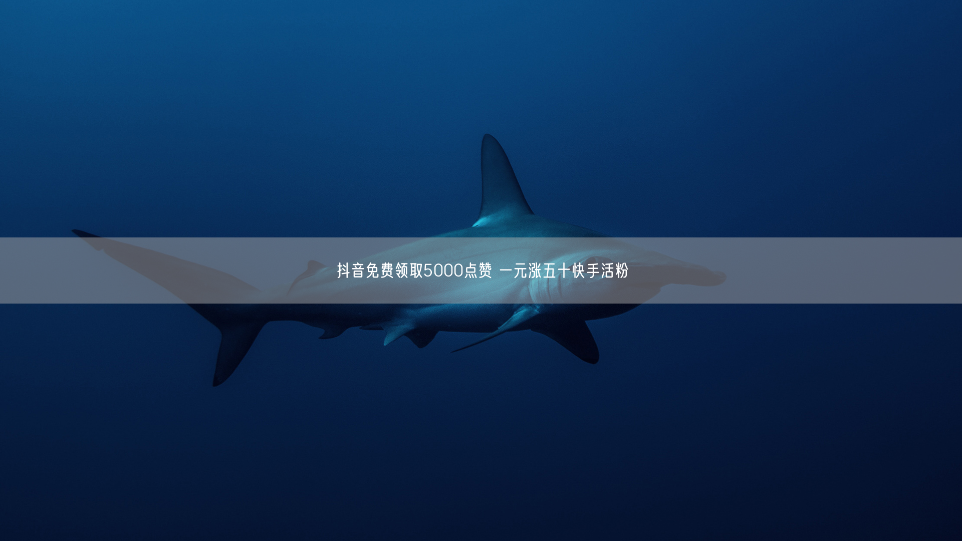 抖音免费领取5000点赞 一元涨五十快手活粉