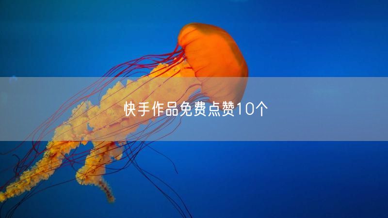 快手作品免费点赞10个