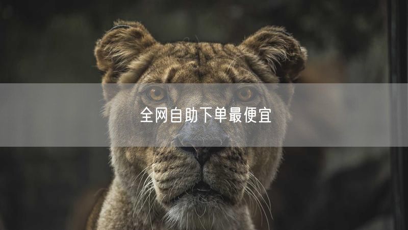 全网自助下单最便宜