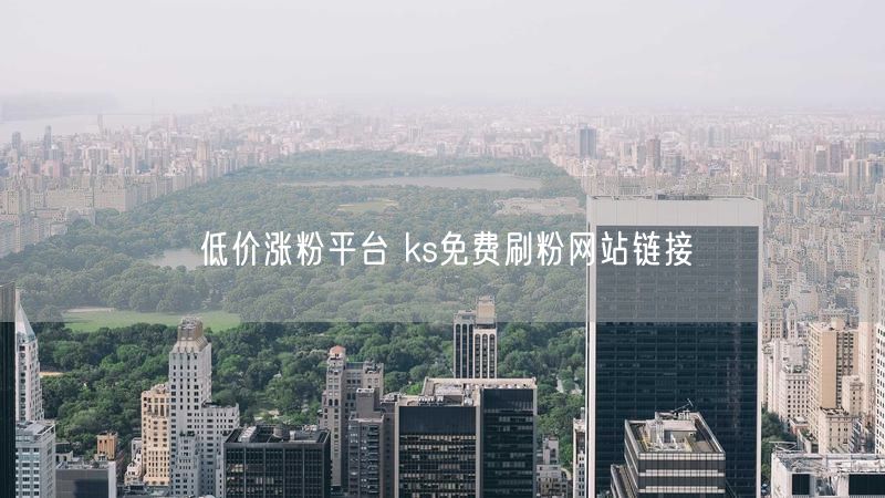 低价涨粉平台 ks免费刷粉网站链接