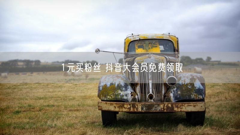 1元买粉丝 抖音大会员免费领取