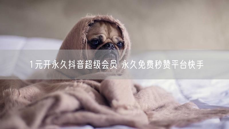 1元开永久抖音超级会员 永久免费秒赞平台快手