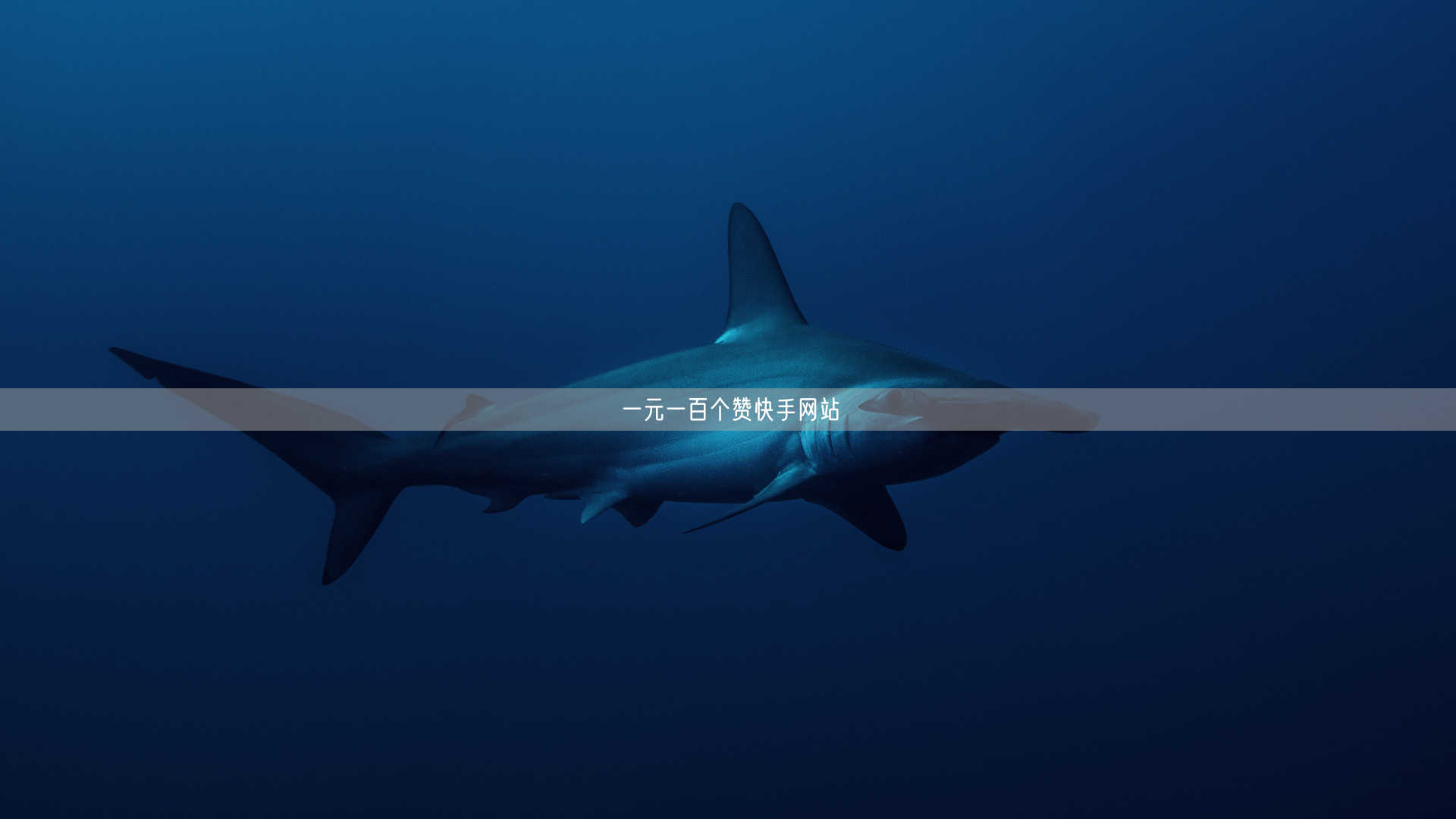 一元一百个赞快手网站