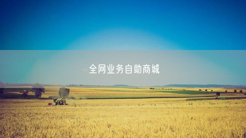 全网业务自助商城