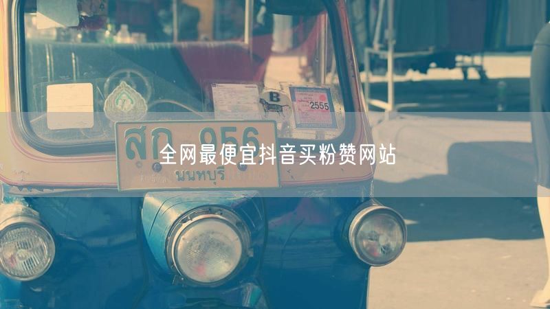 全网最便宜抖音买粉赞网站