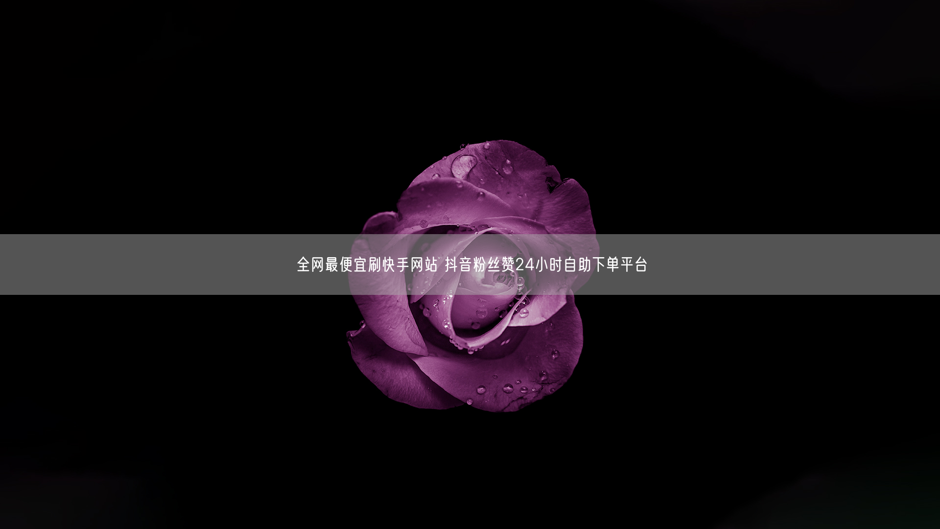 全网最便宜刷快手网站 抖音粉丝赞24小时自助下单平台